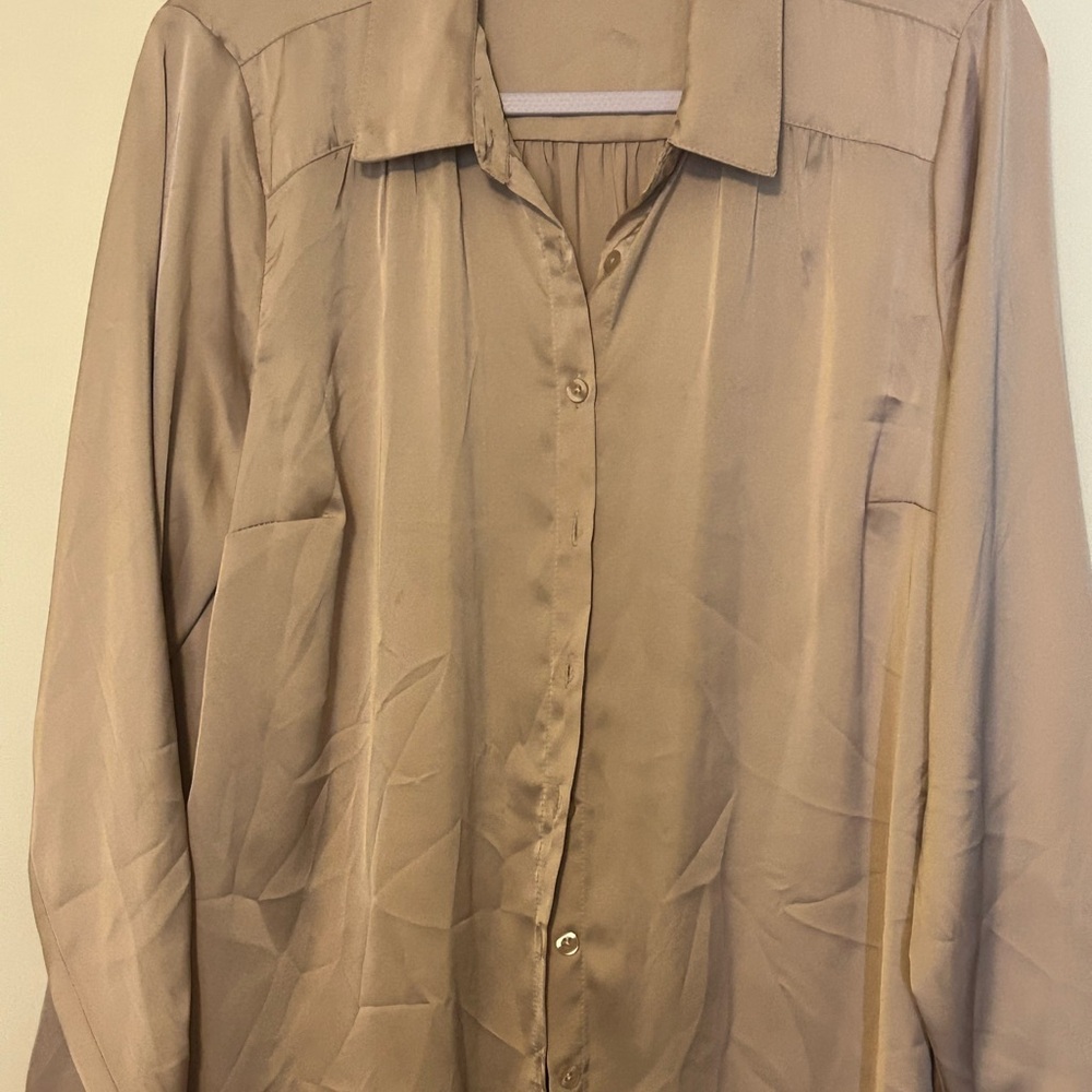 Silky Tan Button-Up Blouse
